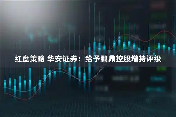 红盘策略 华安证券：给予鹏鼎控股增持评级