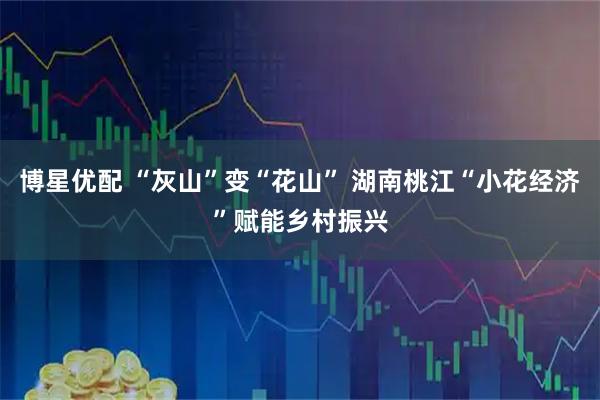 博星优配 “灰山”变“花山” 湖南桃江“小花经济”赋能乡村振兴