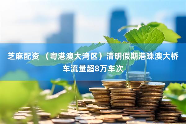 芝麻配资 （粤港澳大湾区）清明假期港珠澳大桥车流量超8万车次
