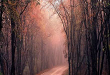 股票股民论坛:配资门户网站平台-特朗普家族支持的加密货币上线！暴富捷径还是骗局？